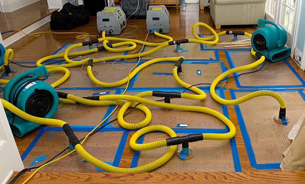 Professional Basement Flood Cleanup technician working in Lovell, WY